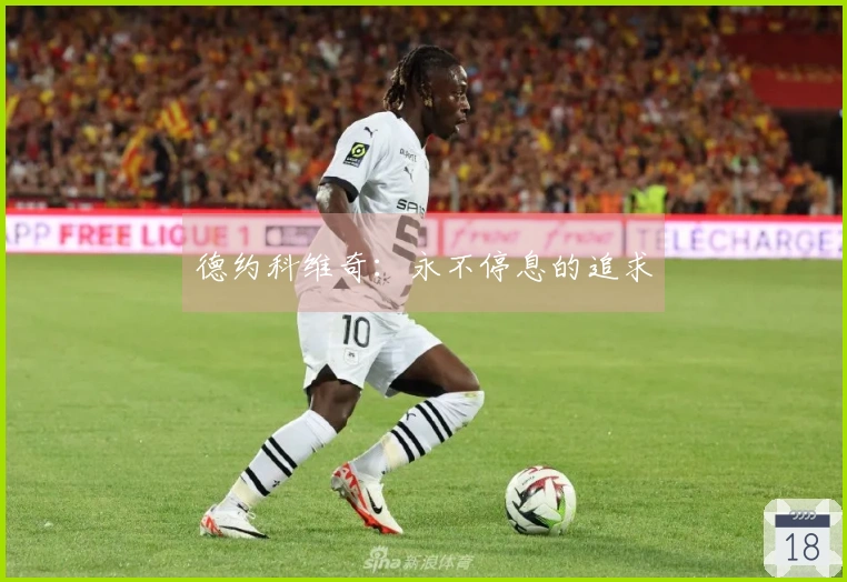 德约科维奇：永不停息的追求