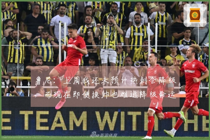 鲁尼：上周我还未预计热刺会降级，而现在即便换帅也难逃降级命运